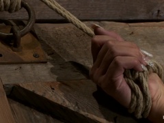 Bdsm, Bondage, Dildo, Dominans, Fingering, Förödmjukelse, Smärta, Bestraffning