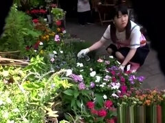 Petite japanese florist pussyfucked in store