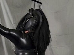 BDSM femdom ponyplay session with leather harness and caning