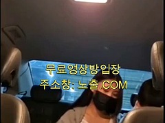 Simple solution in the car 2 korea domestic porn korean korean porn asian free porn