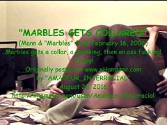 2006-02-16 - Marbles Gets Collared
