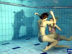 insane girls disrobe eachother in the pool
