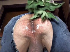 FFickBBare - BRENNNESSEL - NETTLE - ANAL - 01