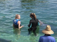 Paris gets to meet some dolphins!