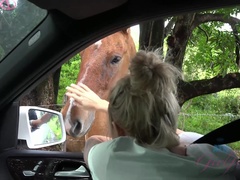 The road to Hana adventure turns into sweaty car sex