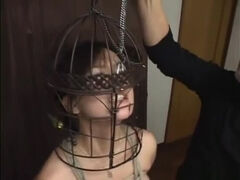 Subtitled Japanese CMNF BDSM nose hook bird cage play
