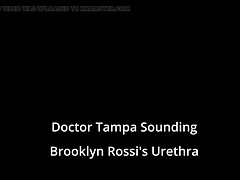 Dr. Tampa pierces Brooklyn Rossis urethra with the sound of surgical steel. Courtesy of GirlsGoneGynoCom