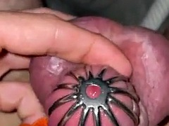 21 minutes of desperate masturbation in a mini chastity cage without a cumshot