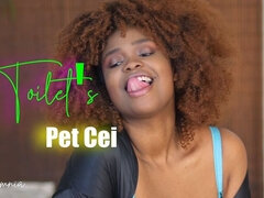 Toilets Pet Cei