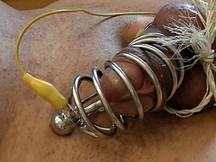 electro estim: cock-en-Metall-cage auto-dilated short