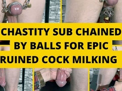 Chastity Sub Chained by the Balls for an Epic Cock Milking with Multiple Ruined Orgasms