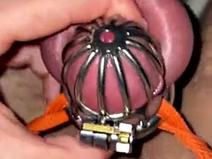 21 minutes of desperate masturbation in a mini chastity cage without a cumshot
