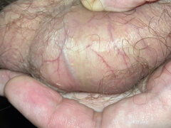 Close-up look at my extremely hairy uncut dick and sweaty veiny balls