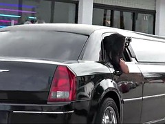 diamond kitty and phoenix marie getting fucked in the limo