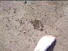 White Sneaker Socks in the Puddle