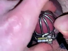 Quick cock check in chastity cage