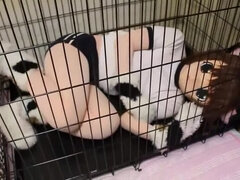 cocoasoft japanese bondage breathplay kigurumi bondage wsm_mikeneko_cage