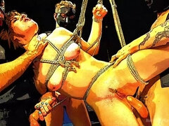 Bondage disciplin sadomasochisme, Pik sutte, Trældom, Dobbelt penetration, Gangbang, Hårdt, Straf, Hård sex