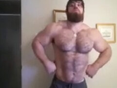 Hairy muscles, muscle bear, muscle bears