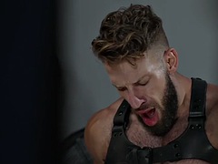 Anal, Grosse bite, Sucer une bite, Homosexuelle, Hard, Muscle