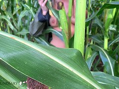 Public raincoat xxx in a cornfield - projectsexdiary