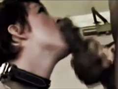 Amatööri, Iso kulli, Musta, Aisankannattaja, Tumma, Rankka, Näkökulma pov, Imevä