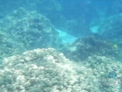 Bagno, Pompino, Brunetta, Orgasmo, Fumando   smoking, Schizzi, Tette, Bagnata