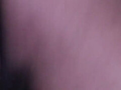 Americké, Bbw, Kuřba, Mezirasové, Zrzavé