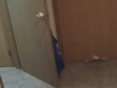 Anal, Bbw stor vacker kvinna, Avsugning, Creampie, Långt ner i halsen, Doggystyle, Familj, Onani