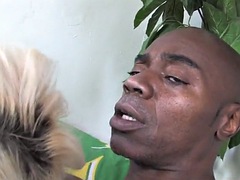 Iso kulli, Musta, Aisankannattaja, Tumma, Nais alistaja, Sekarotuinen