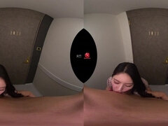 Ázsiai, Tekintélyes didik, Japán, Nézőpont, Valóság