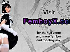 MUA femboi trap assplowed by zaddy