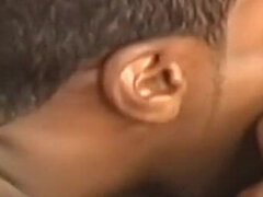 Anaali, Pariskunta, Homo