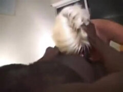 Amatéri, Veľké péro, Veľké kozy, Blondína, Kuřba, Cuckold, Milf  mčbp, Manželka