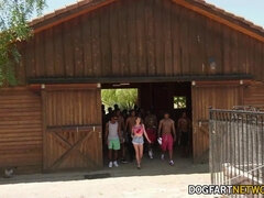 Aliya Brynn in a Huge Interracial Blowjob with 21 Blacks dude