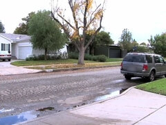 Brunetka, Stříkání spermatu, Vlasaté, Hardcore, Přírodní, Drobounká, Pička, Kozičky