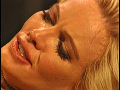 Monumentális dákó, Tekintélyes didik, Szőke, Kőkemény, Pornósztárok, Begyek, Régebbi évjáratú pornó