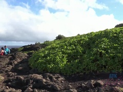 素人, フェラチオ, 茶髪の, 指いじり, 露出狂, 彼女, 小柄, 喫煙