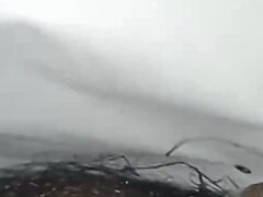 Sega, Indiana, Punto di vista pov, Solo