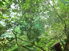 素人, 足コキ, 手コキする, オイル, 公共, オマンコ, 剃毛, ガリガリ