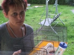 Ξανθιά, Φετιχ, Ώριμη, Πραγματικότητα, Κοκκινομάλα