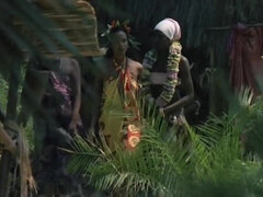 Afrikansk, Runke, Raseblandet, Vintage