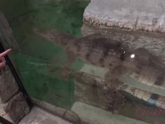 Cuarto de baño, Penetracion con dedos, Jeans, Orgasmo, Pov, Público, Coño, Flaco