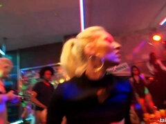 Blondi, Suihinotto, Pukeissa, Rankka, Sekarotuinen, Pornotähti, Pillu, Imevä