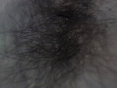 Amaterji, Fetiš, Kosmate, Solo