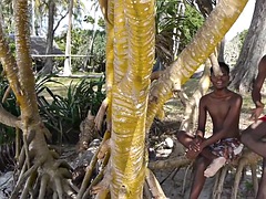 Amador amadora, Negroa, Jato de porra, Ébano negroa, Gay bicha veado, Hardcore, Magrinha