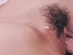 Asijské, Krásky, Velký zadek, Velké kozy, Puma, Roztomilá, Drobounká, Kozičky