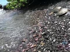 Strand, Onani, Orgasme, Utendørs, Synsvinkel, Offentlig, Røyker, Våt