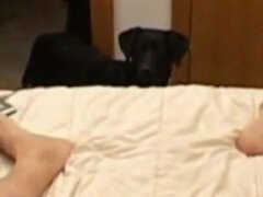 18 jahre, Süss, Selbstgemacht, Reiten, Strümpfe, Titten