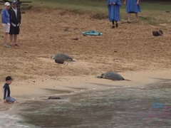 Ερασιτέχνης, Παραλία, Χύσιμο, Μαλακία με το δάχτυλο για γυναίκες, Μαλακία με το πόδι, Μαλακία, Πρώτου προσώπου, Κοκκαλιάρης